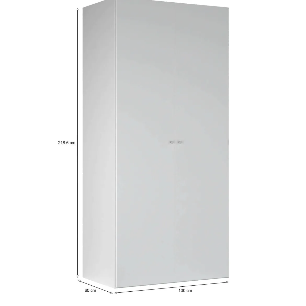 Guardaroba 2 ante bianco salvaspazio 100x218h cm - Anagni