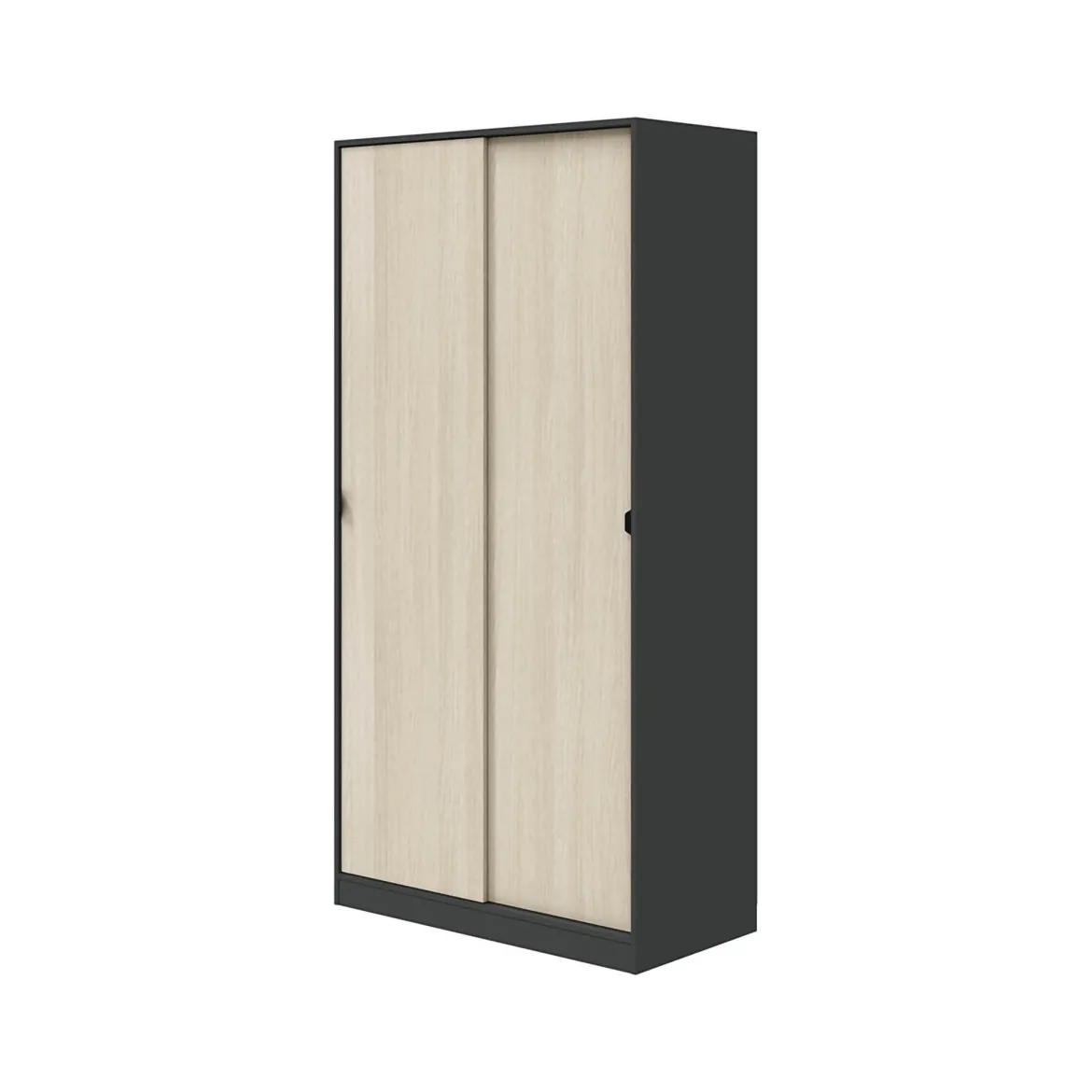 Guardaroba 2 Ante Nero Antracite Marrone Rovere 4 Ripiani Appendiabiti 100x200h cm, 2 Ante - Orgosolo