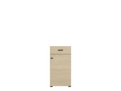 Mobile da Ingresso Marrone Rovere Chiaro Nero un Cassetto 2 Ripiani 51.5x35x98h cm, Un'anta - Trevi