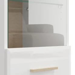 Mobile Pensile Bianco Opaco Marrone Rovere 2 Ripiani Un'anta 39x96h cm, Anta e Ripiano Dettaglio Vetro - Gonnes
