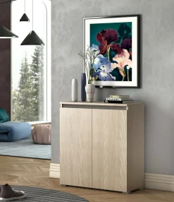 Scarpiera 2 ante olmo 80x102h cm ripiani regolabili - Astrina