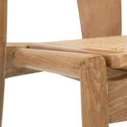 Sedia Marrone 2 Sedie Seduta in Rattan Intrecciato, Materiale Struttura in Legno - Ione
