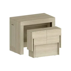 Set tavolo allungabile e 2 panche allungabili effetto legno 12 posti - Auditore