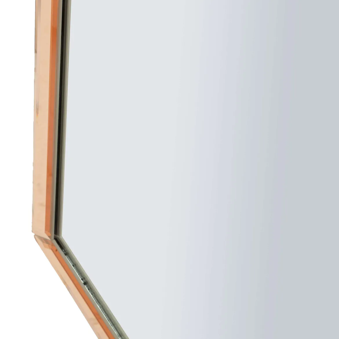 Specchio Rosa Trasparente Cornice Sagomata Forma Rettangolare 62x100h cm, Tipologia a Parete - Gamera