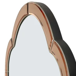 Specchio Rosa Trasparente Cornice Sagomata Forma Rettangolare 62x100h cm, Tipologia a Parete - Gamera
