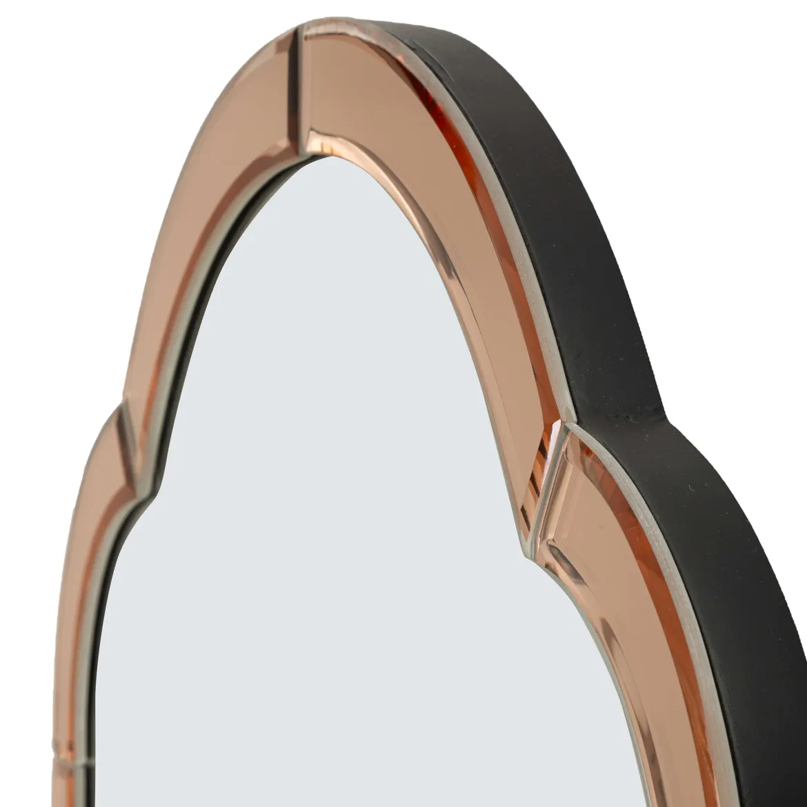 Specchio Rosa Trasparente Cornice Sagomata Forma Rettangolare 62x100h cm, Tipologia a Parete - Gamera