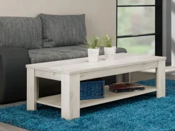 Tavolino da Salotto Bianco Larice un Vano Forma Rettangolare 120x60x41.5h cm, Sfumatura Colore Ripiano Larice - Front
