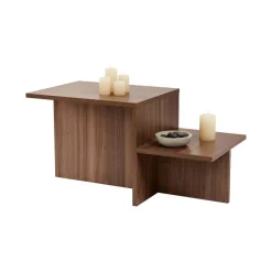 Tavolino da Salotto Marrone Noce Forma Rettangolare Materiale Piano in Legno Nobilitato 80x40x40h cm, Colore Ripiano Marrone - Lomagna