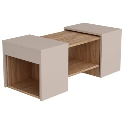Tavolino da Salotto Marrone Rovere Grigio Tortora un Vano Forma Rettangolare 100x40x37h cm, Colore Ripiano Marrone - Usseglio