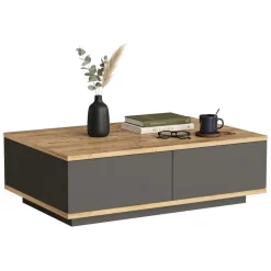 Tavolino da Salotto Marrone Rovere Nodi Nero Antracite 2 Vani Forma Rettangolare 90x60x29h cm, Colore Ripiano Marrone - Babila