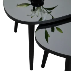 Tavolino da Salotto Nero Piano in Vetro Temperato Forma Ovale 75x55x38h cm, Sfumatura Colore Ripiano Fume - Cassiano