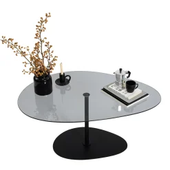 Tavolino da Salotto Nero Piano in Vetro Temperato Forma Ovale 90x60x40h cm, Sfumatura Colore Ripiano Fume - Tremiti