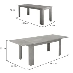Tavolo allungabile grande 8-12 posti 160/210x90cm grigio - Agenore