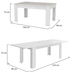 Tavolo allungabile 8-12 posti 160/210x90cm bianco lucido -Agenore
