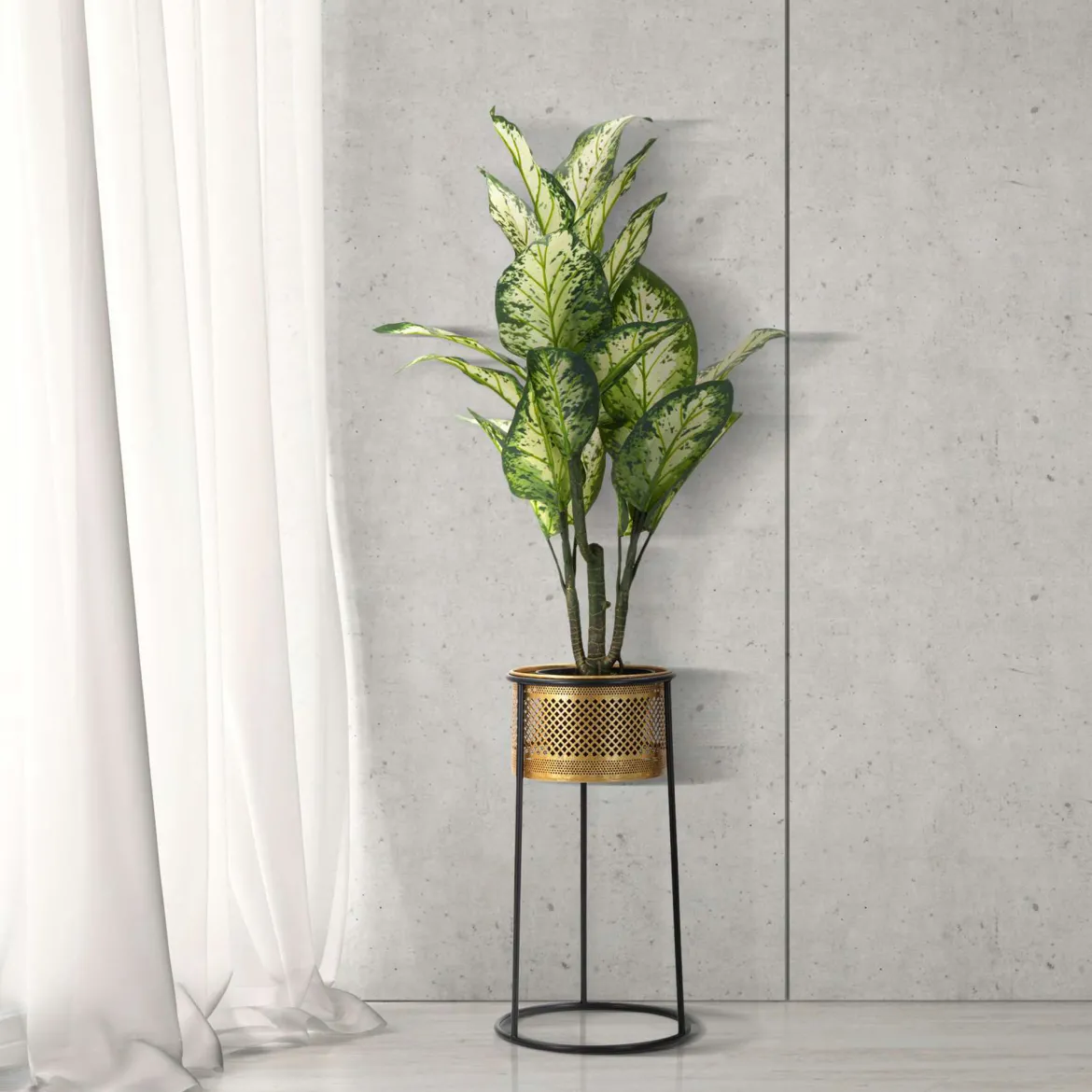 Vaso oro Nero Portavaso Rimovibile Colore Struttura Nero, - Juayua