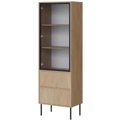 Vetrina Marrone Rovere Nero 2 Ripiani 2 Cassetti 60x40x185h cm, Un'anta - Zanica